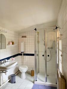 BonsecoursMaison Voltaire的带淋浴、卫生间和盥洗盆的浴室