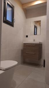 圣皮耶尔代勒福尔卡Le Toit du Cambre d'Aze的一间带卫生间、水槽和镜子的浴室