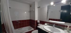 普拉亚布兰卡Las Moreras Playa Blanca的一间带水槽、卫生间和镜子的浴室