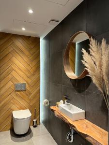Matrakeresztes马特雷克斯泰斯弾博罗姆沃尔基度假酒店的一间带卫生间、水槽和镜子的浴室