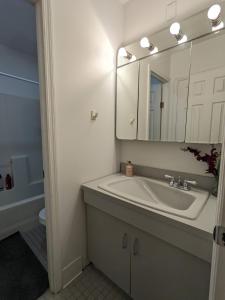 布鲁克林Cozy room at great Townhouse in Williamsburg的一间带水槽和镜子的浴室