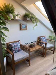 耶塞尼克Apartmány & Wellness Revenite的一间设有两把椅子和一张植物桌子的房间