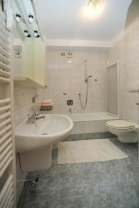 普雷达佐Appartamento Dolomiti的一间带水槽、卫生间和淋浴的浴室