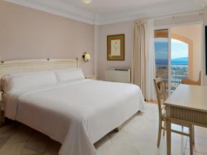 拉克鲁斯Hotel Las Águilas Tenerife, Affiliated by Meliá的一间卧室配有一张床、一张书桌和一个窗户。