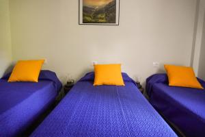 埃尔米瓜El Cedro Cottage Home的配有紫色和橙色枕头的客房内的两张床