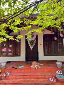 坎努尔Bodhi Beach House Kannur的狗躺在房子前面的地上