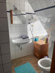 齐恩多夫泽恩多夫旅馆的一间带水槽和卫生间的浴室