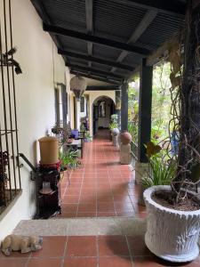 危地马拉安地瓜RUAJ HOSTAL -Wellness-Colonial-Exclusive-的走廊上,房子的地板上放着一只狗
