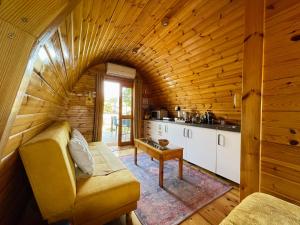 CorredouraThe Gold Pod, relax and enjoy on a Glamping house的小木屋内的客厅配有沙发和桌子