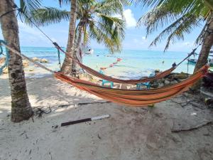 BuenavistaBella Marcela的棕榈树和海洋海滩上的吊床