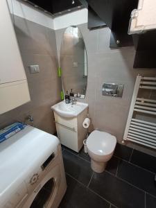 普拉托La Casina Pallacorda的一间带卫生间和水槽的小浴室