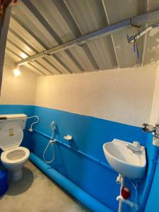 巴卡哈利Tapama Resort的蓝色的浴室设有卫生间和水槽