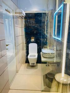 孟买Home2 Renaissance Club的一间带卫生间和水槽的小浴室