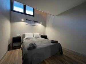 瓦伦西亚VLC Apart的卧室配有一张床,墙上设有窗户