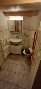 安德马特迷人瑞士安德马特姆屋的一间带水槽、卫生间和镜子的浴室