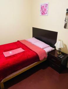 利马KORICANCHA的一间卧室配有一张带红色毯子和灯的床
