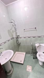 瓦迪穆萨Sara apartment的一间带水槽和卫生间的浴室