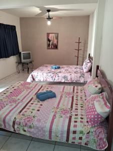 里约达欧特拉斯POUSADA AMAZONAS的一间卧室设有两张单人床和一台电视机。