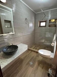多布里尼什特Вила Рафаела-Мартина的一间带水槽和卫生间的浴室