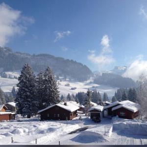艾姆敦Alpenblick Loft neben Skilift in Amden Arvenbüel的山上一座有房子的雪覆盖的村庄