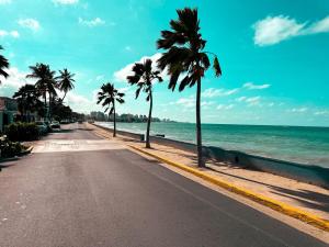 圣胡安OMERO Ocean Park的海滩上一条种满棕榈树的空街