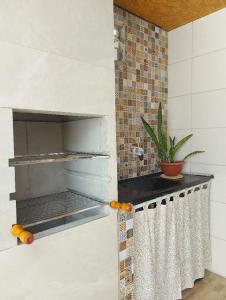 杰里科科拉Na Casa Delas Jericoacoara的厨房配有带植物的比萨饼烤箱