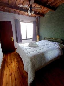 科洛尼亚-德尔萨克拉门托Posada San Gabriel的一间卧室设有一张大床和一个窗户。