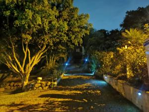 迦太基Cabaña Vista Verde的树灯火通明的街道