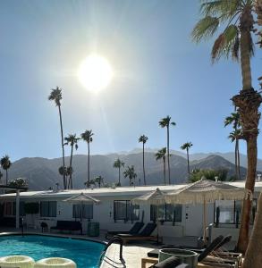 棕榈泉Jazz Hotel Palm Springs的一个带游泳池和棕榈树的度假村