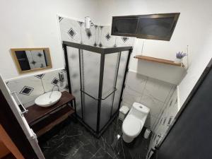 马塔帕洛POSADA MIRADIA的一间带卫生间和水槽的小浴室