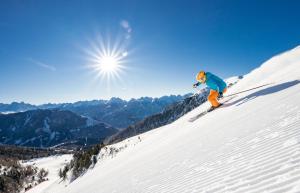 EggenVilla Gottfried B&B的一个人在雪覆盖的斜坡上滑雪