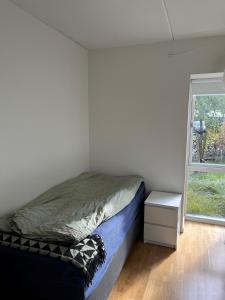 奥尔堡Charming Aalborg Apartment With parking的一间小卧室,配有床和窗户
