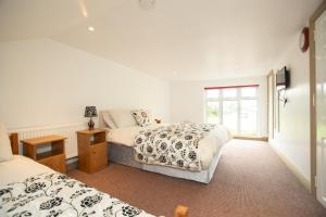 CastlepollardWhitaker Lodge Bed & Breakfast的一间卧室设有两张床和窗户。