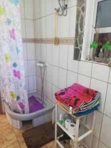 巴列埃尔莫索Casa GRENADO的带淋浴和卫生间的小浴室
