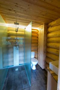 兹雷切Brunarica Macesen Smogavc的一间带卫生间和玻璃淋浴间的浴室