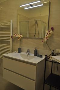 斯皮内亚Casa Vacanza e per lavoro Tessyhouse的浴室设有水槽、镜子和鲜花