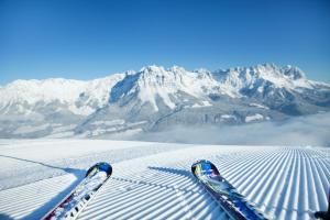 瑟尔Au Pension的雪覆盖的山顶上一双滑雪板