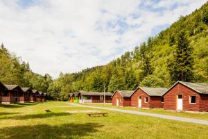 SchalkauFerienpark Thüringer Wald的山地里一排小木屋