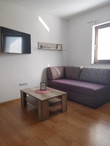 莫斯特拉纳Apartma Katja的客厅配有紫色沙发和茶几