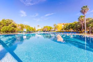 萨卡莱塔Vibra Blanc Palace Aparthotel的一个带蓝色椅子和棕榈树的大型游泳池