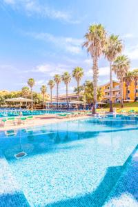 萨卡莱塔Vibra Blanc Palace Aparthotel的棕榈树度假村的游泳池