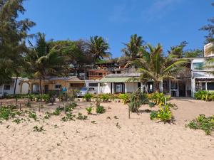 托弗海滩Casa do Índico的棕榈树海滩上的房子