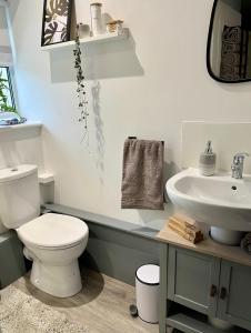 纽基Beautiful Cottage Short Walk To Porth Beach的浴室配有白色卫生间和盥洗盆。