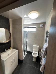 格拉斯哥Countryside Chalet near Glasgow的一间带卫生间、水槽和镜子的浴室