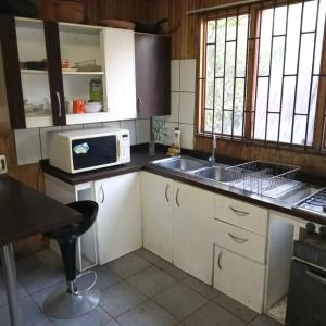 Cajon del MaipoCASA kuntur的厨房配有水槽和微波炉