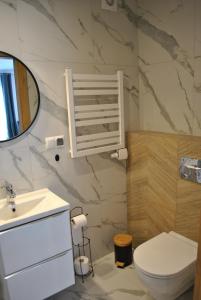 新塔尔格Apart4You Apartamenty Nowy Targ的一间带卫生间、水槽和镜子的浴室