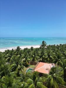 圣米格尔-杜斯米拉格里斯他图若别墅的享有海滩和棕榈树的空中景致