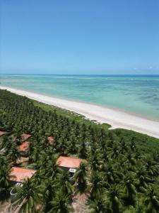 圣米格尔-杜斯米拉格里斯他图若别墅的棕榈树海滩的空中景色