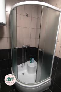 MandičevacNikka Resthouse Mandićevac的浴室内带卫生间的淋浴间