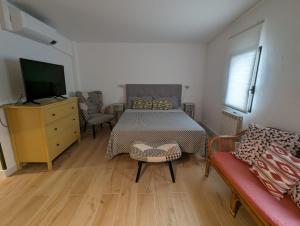 塔拉戈纳La Paloma的一间卧室配有一张床、一台电视和一张沙发